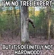 1724439997253.png
