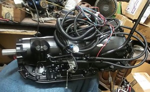 183482854_10223087146825667_3573163467788360889_n.jpg