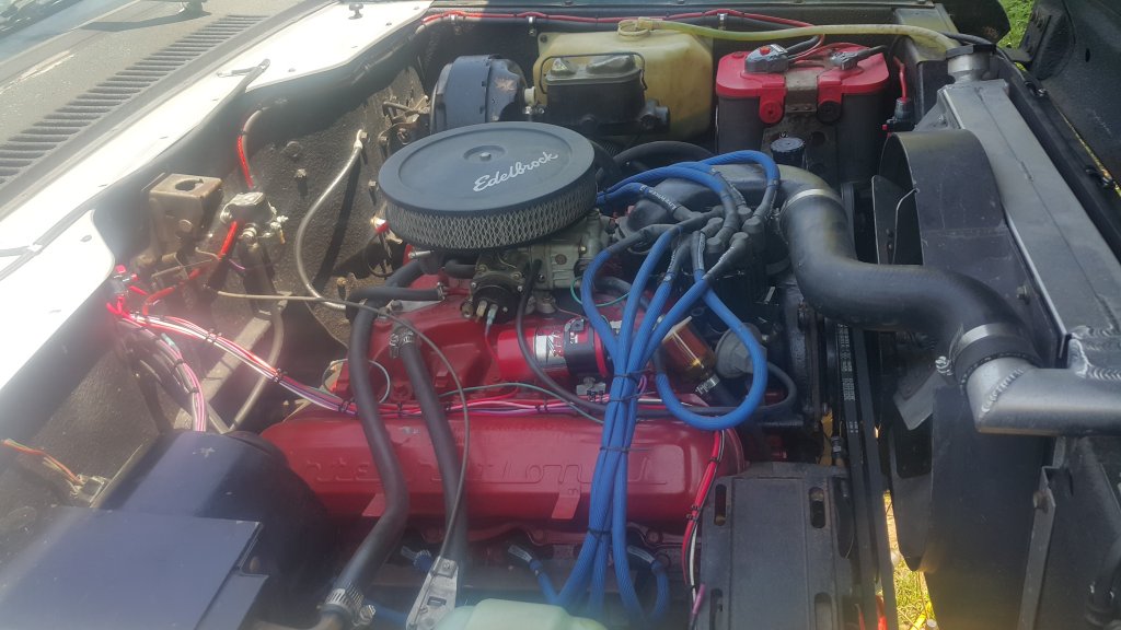 2017-05-03 12.44.10.jpg