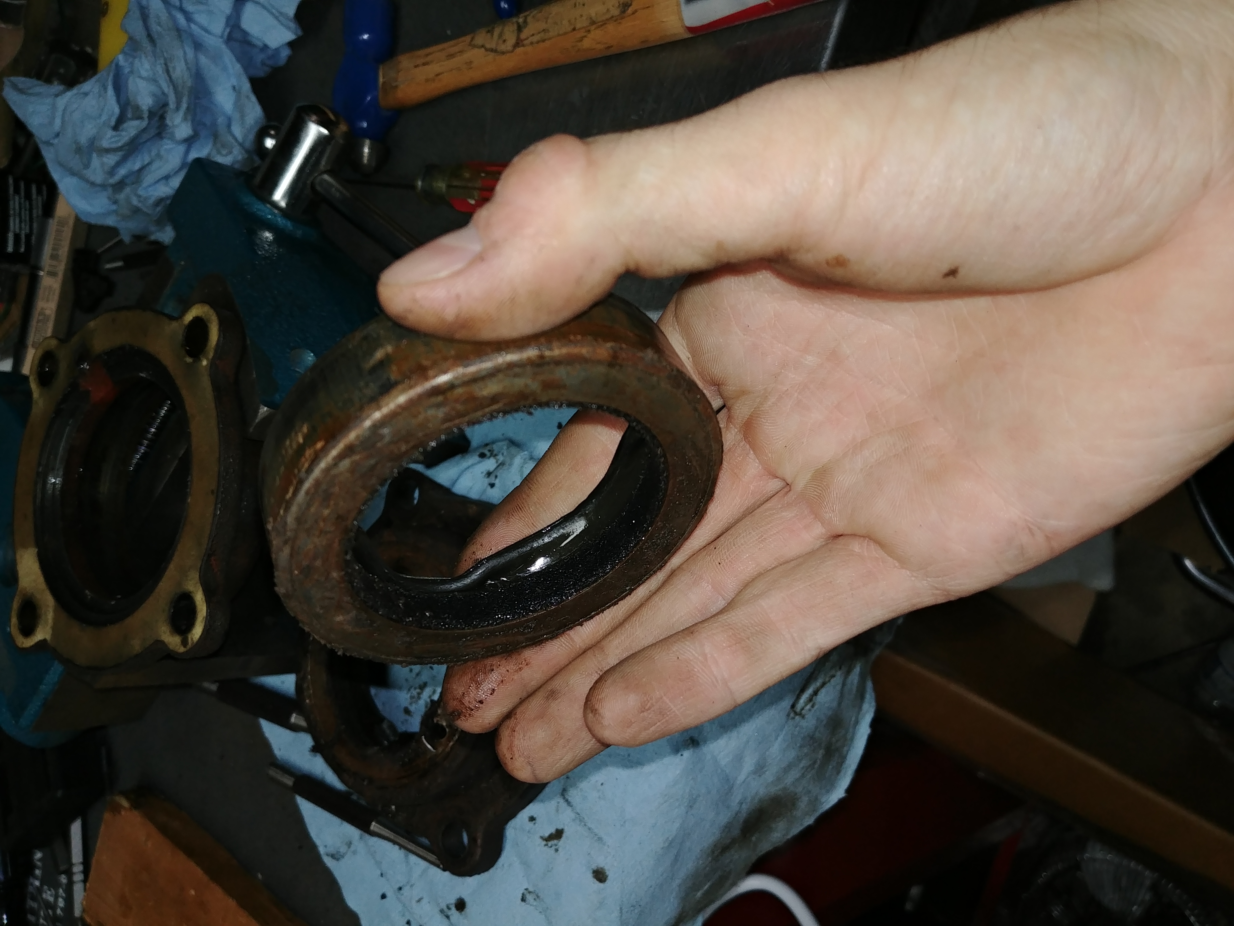 20190114_162807.jpg