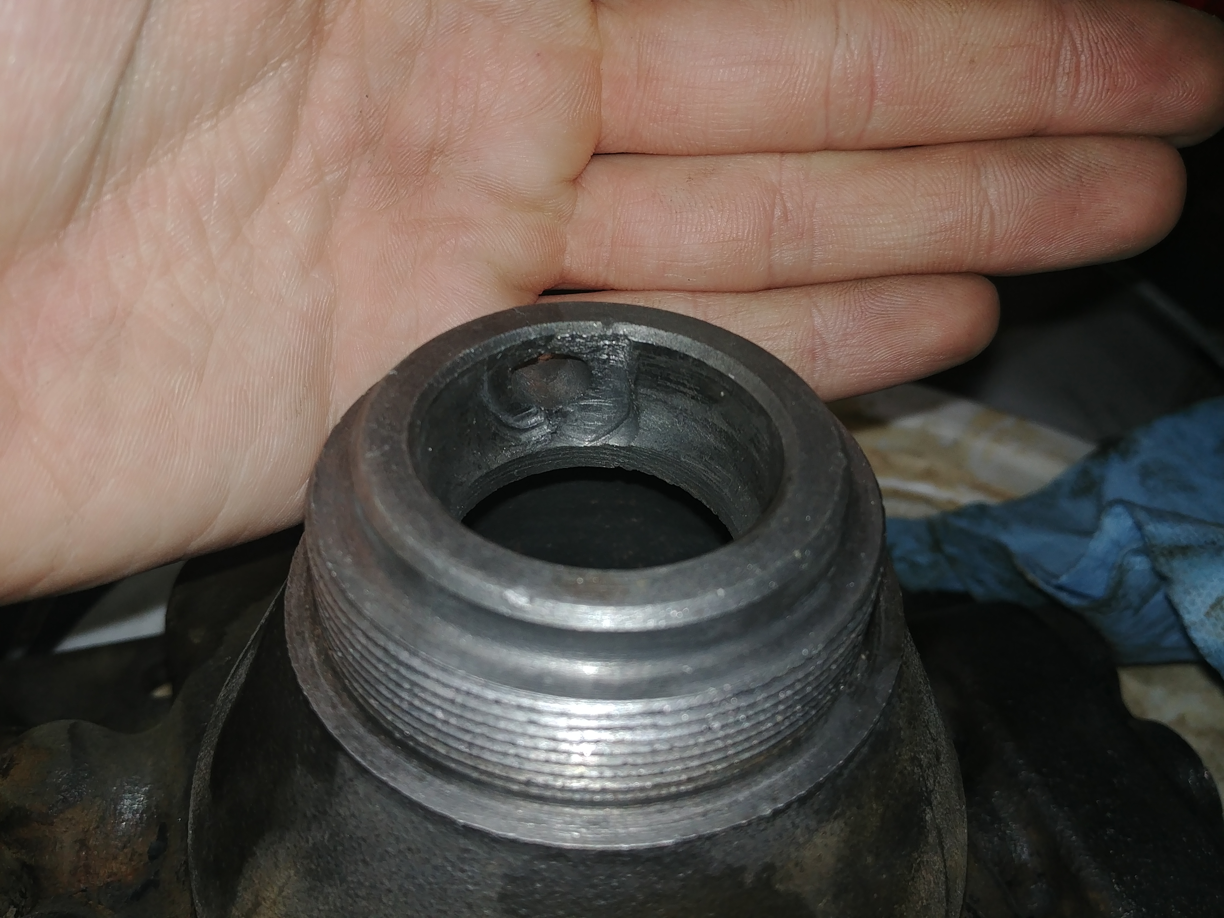 20200430_135152.jpg