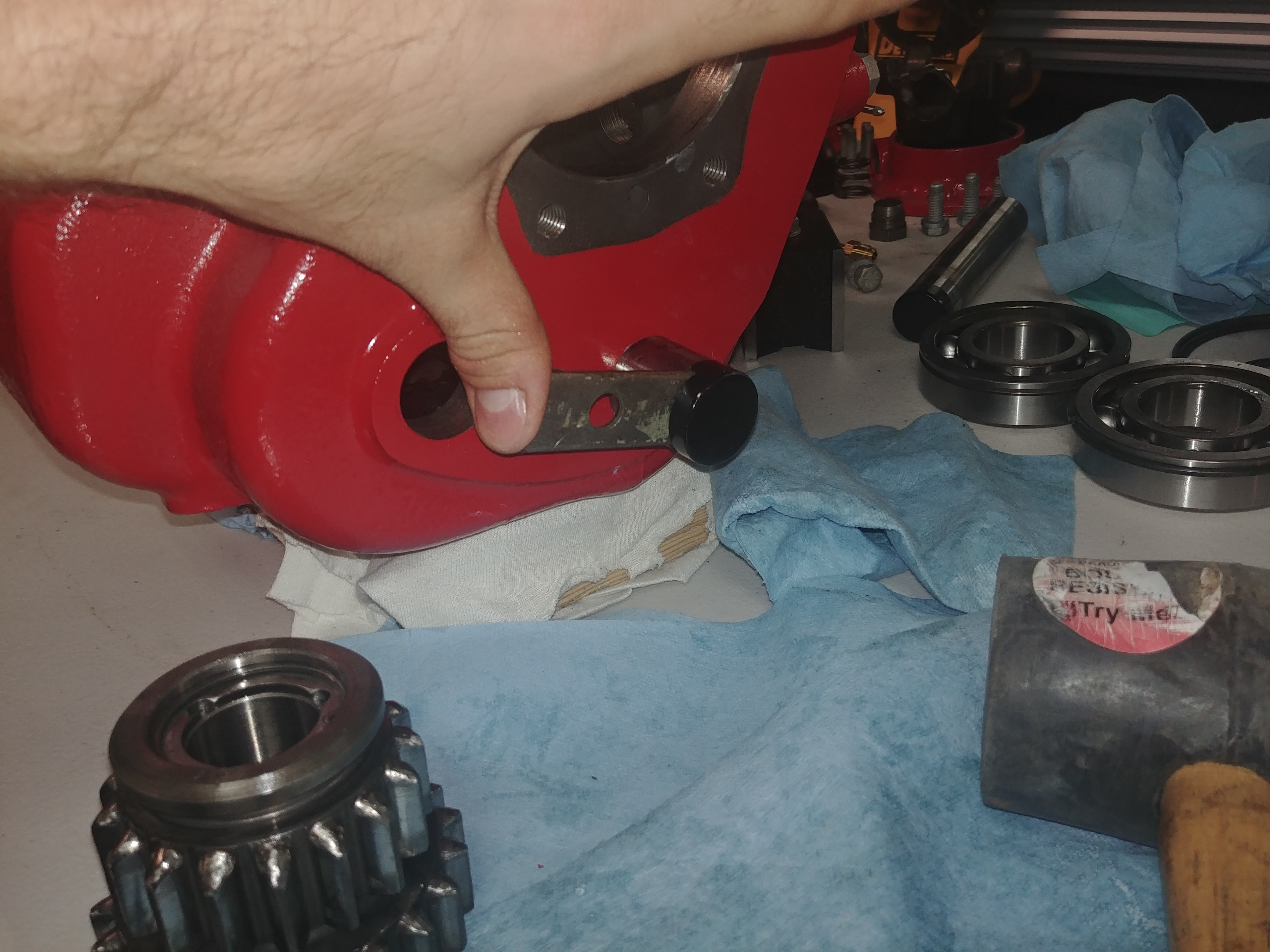 20201002_142627.jpg