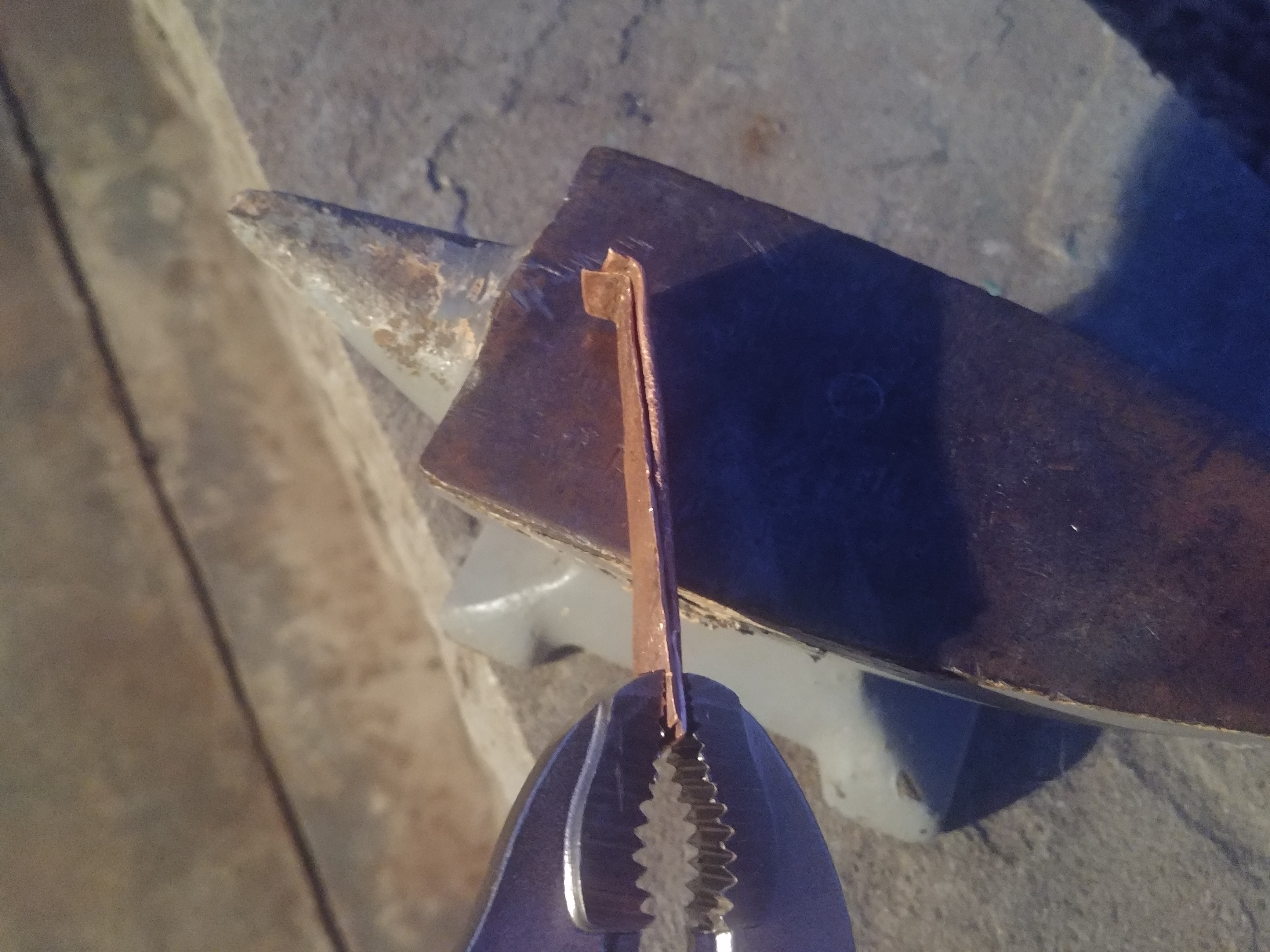 20201004_190615.jpg