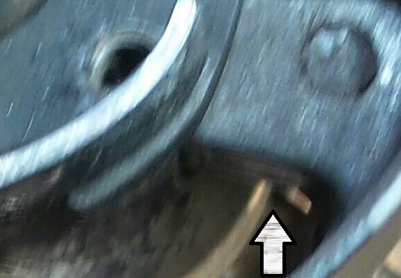 441083929_10229414304000642_3428436125071752425_n (1).jpg