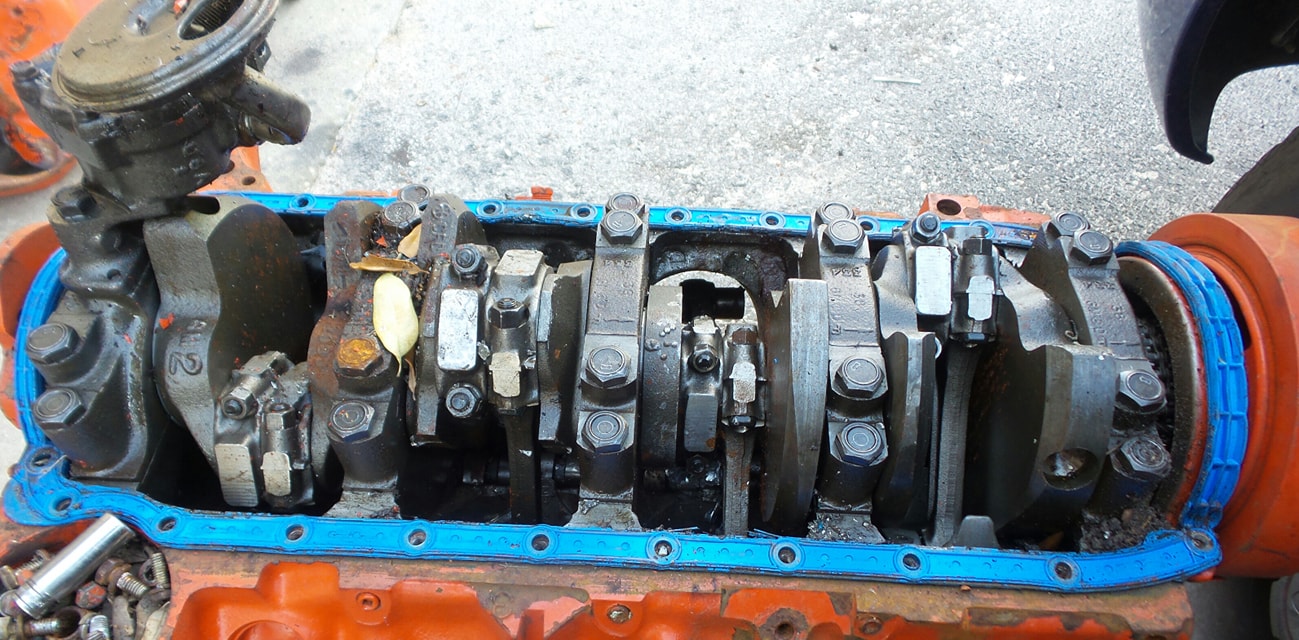 485102843_10232932244746962_4147337797278638191_n.jpg