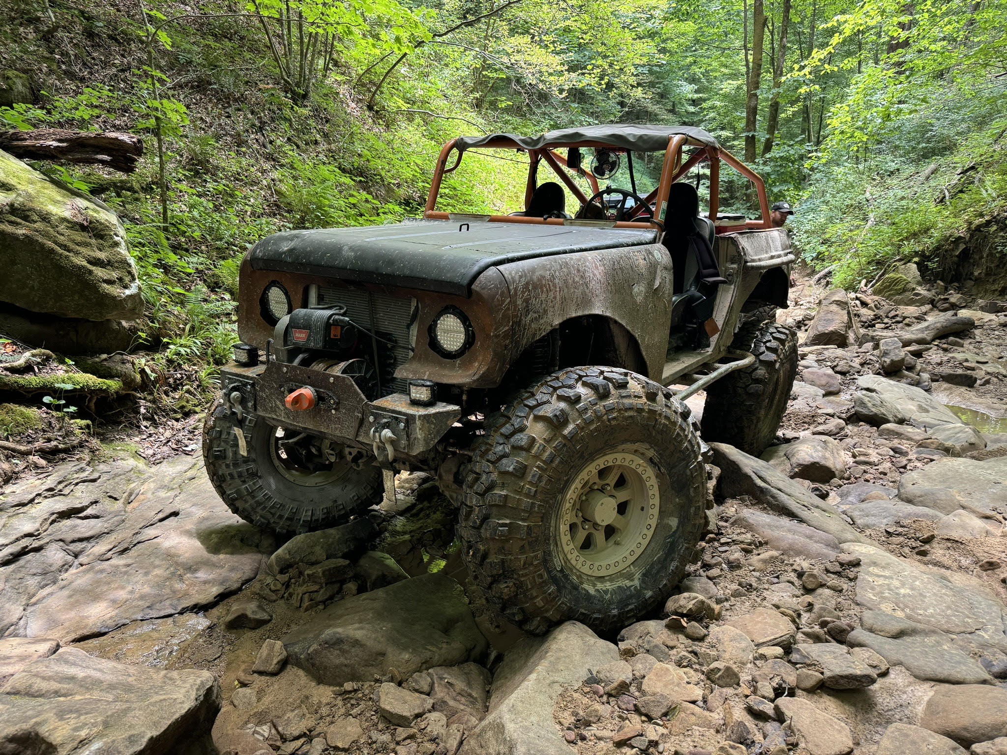 Scout in KY.jpg