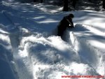 IMG_1252.JPG
