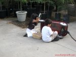 IMG_1916.JPG