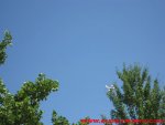 IMG_2094.JPG