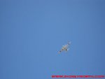 IMG_2098.JPG