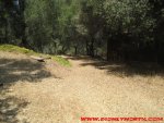 IMG_2167.JPG