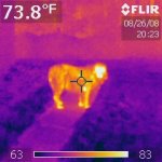 IR_0036.jpg