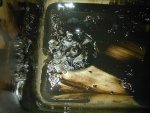 DSCN0007.jpg