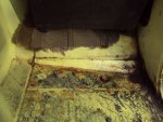 DSC01229.JPG