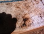 Crud in passage (Small).jpg