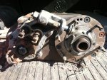 dana300.jpg