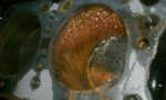 #2 Cylinder x2.jpg