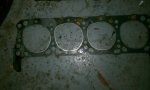Gasket 2.jpg