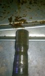 IMAG0346.jpg