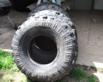 Dscf0326.jpg