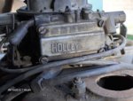 holly.JPG