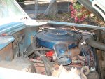 DSC00706.JPG