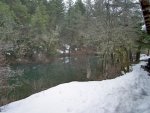 pond.jpg