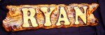 ryan sign.jpg