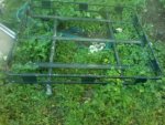 IMG_20130321_080241[1].jpeg