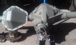 IMAG0816.jpg