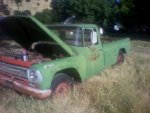 IMG_20130520_171021[1].jpeg