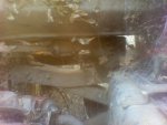 IMG_20130620_102538[1].jpeg