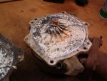 turbo white crust (Small).jpg