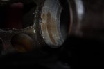 DSC_0507.jpg