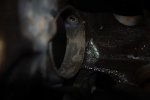 DSC_0511.jpg