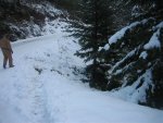 IMG_1534.jpg