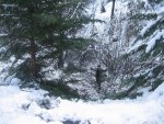 IMG_1537.jpg