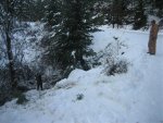 IMG_1538.jpg
