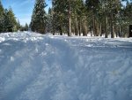 Snow 3.jpg