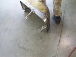WHEEL HOUSE REPAIR.jpg