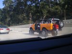 orange scout.jpg