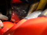 DSC07861.jpg
