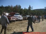 medow lineup 7.jpg