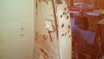 IMG_20131110_084802_298.jpg