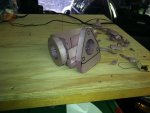 IMG_1006.jpg