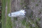 DSCF3730.jpg