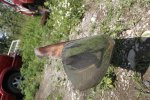 DSCF3731.jpg