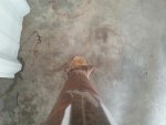 Axle Caster.jpg