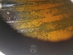20170903_185627.jpg