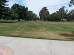 20190624_121049.jpg